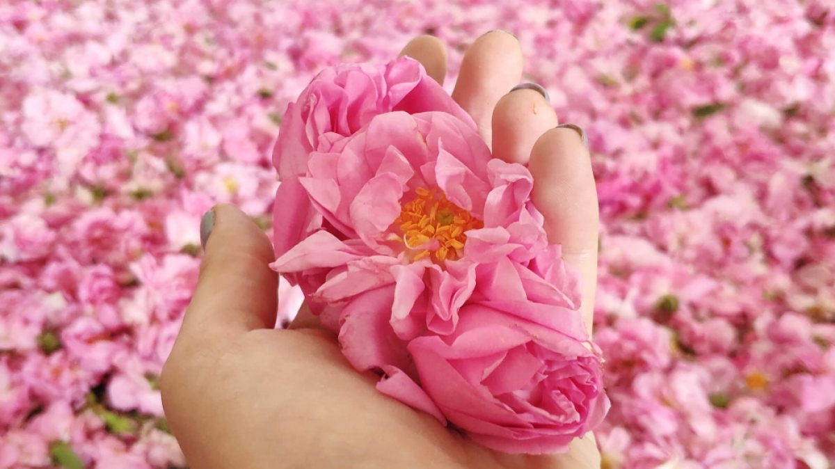 Фото нашего гида Евгении Скопиной