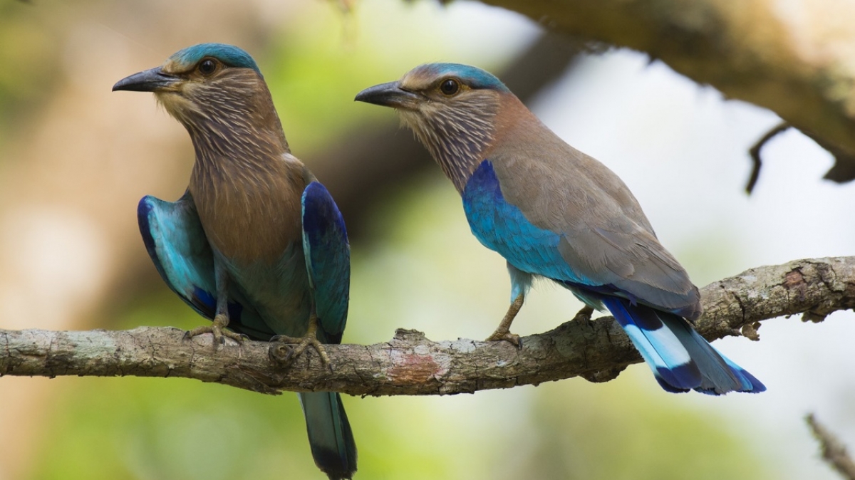 Фото: Sergey Yeliseev, VisualHunt.com