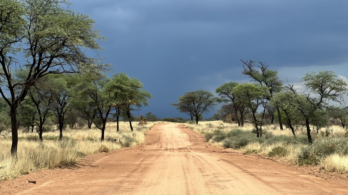 Фото: наш гид Алексей Шорец
