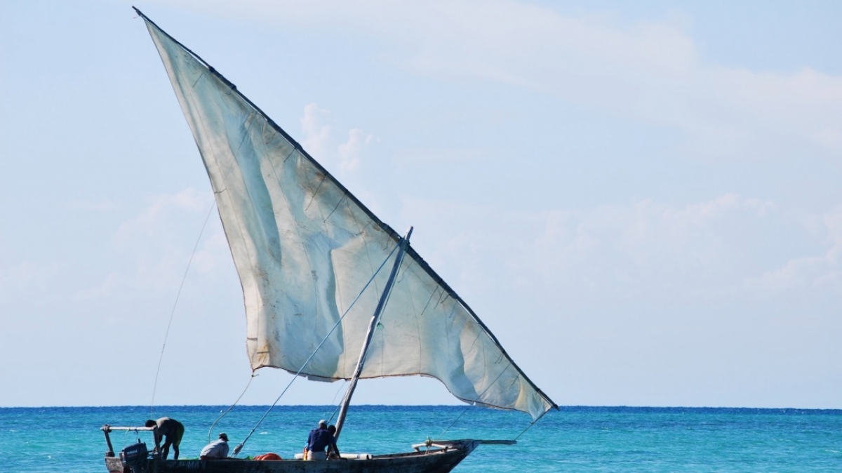 Фото: Zeynep Gökalp, unsplash.com