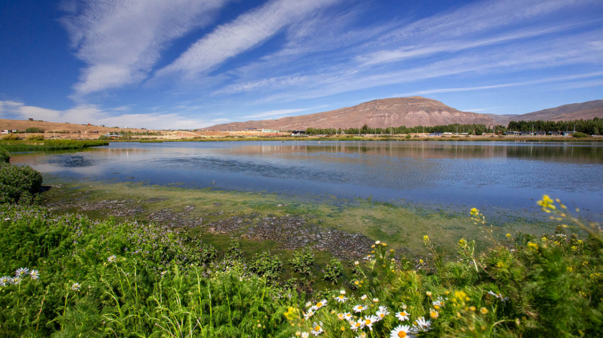 Фото нашей Странницы Татьяны Руновой