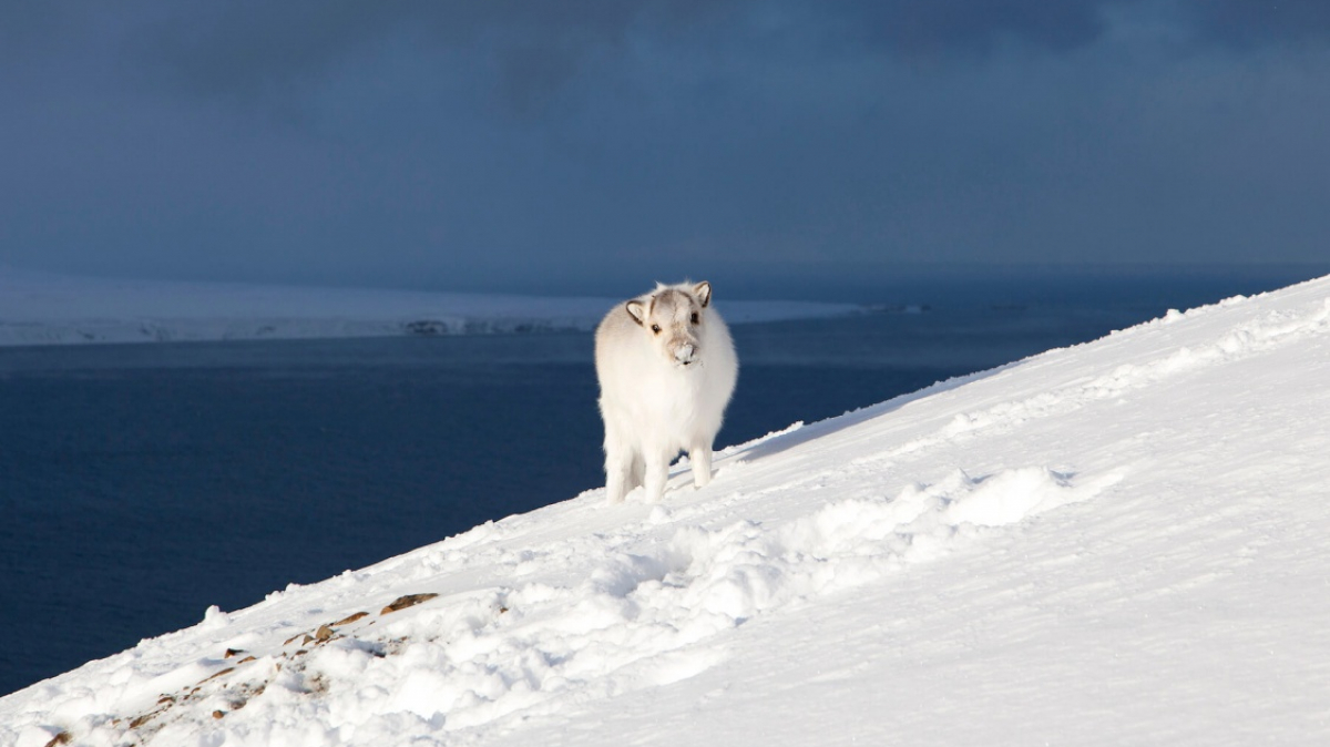 Фото из архива Клуба