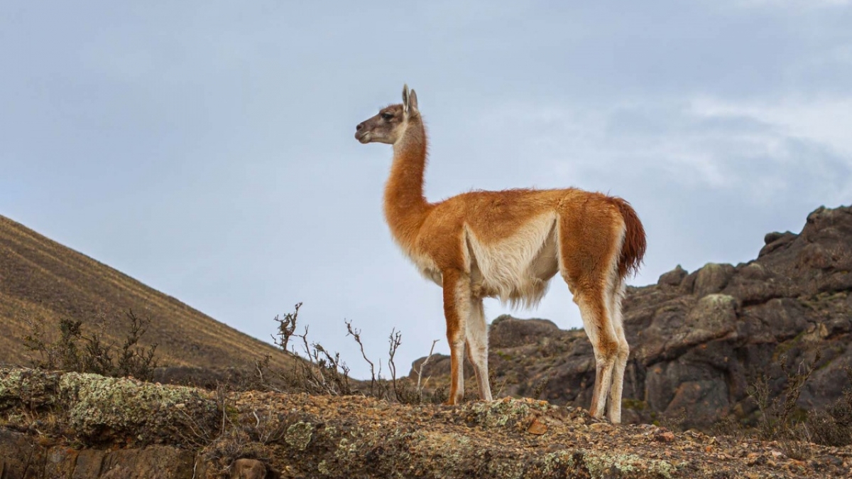 Фото: Chris Stenger, unsplash.com