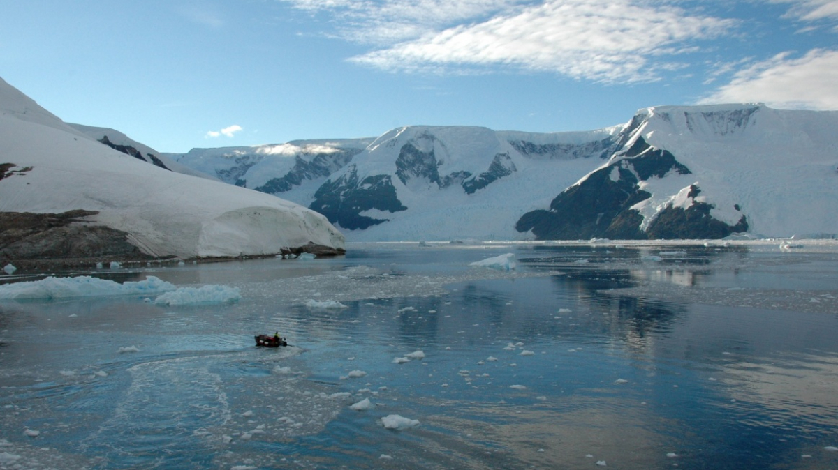 Фото: Rita Willaert, visualhunt.com