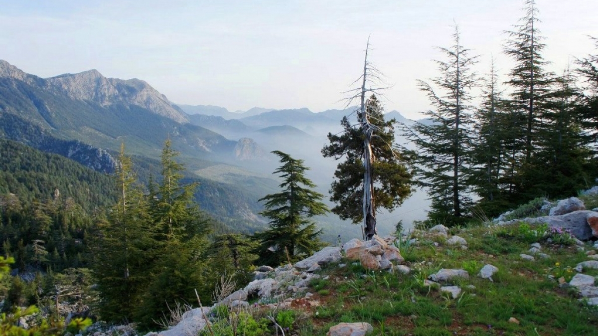 Из архива Клуба