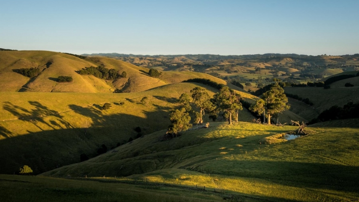 Фото: 
Zac Porterm, unsplash.com