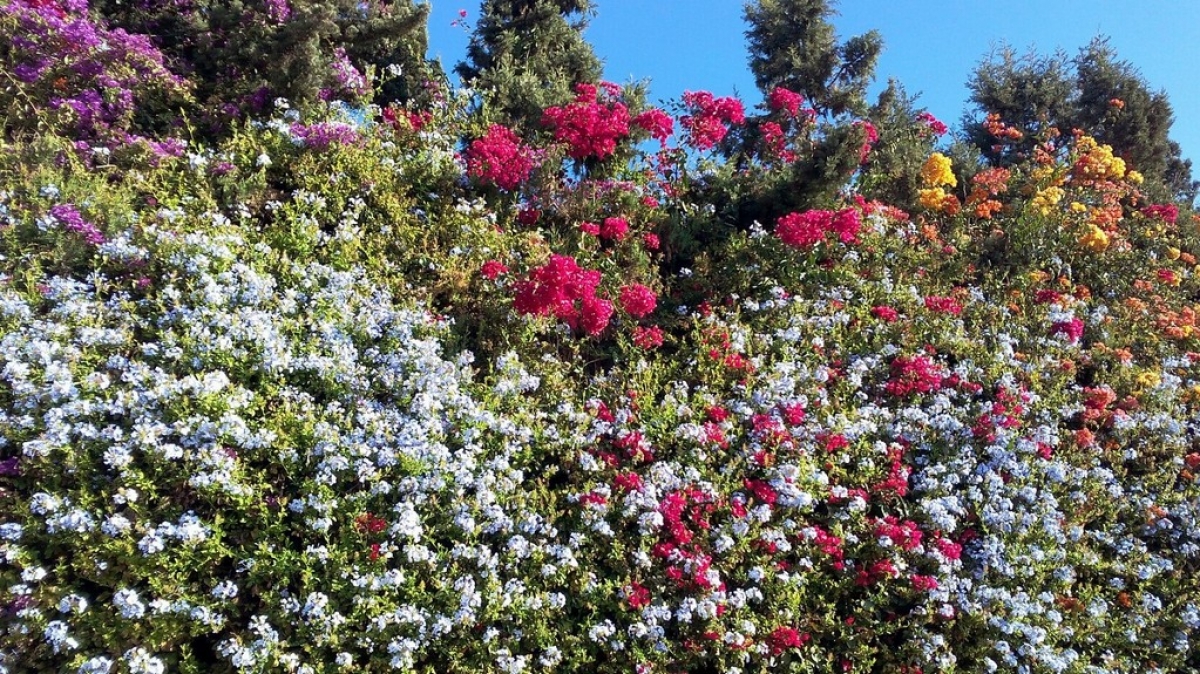 Фото нашей Странницы Натальи Царевой