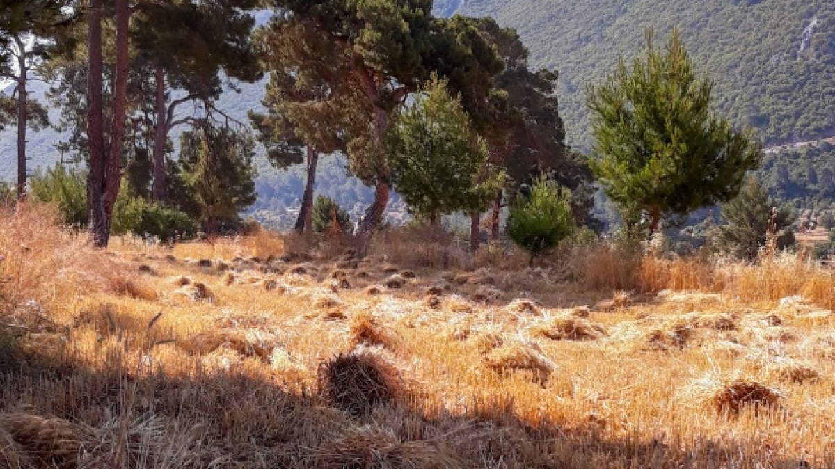 Фото нашего гида Марины Чудновской