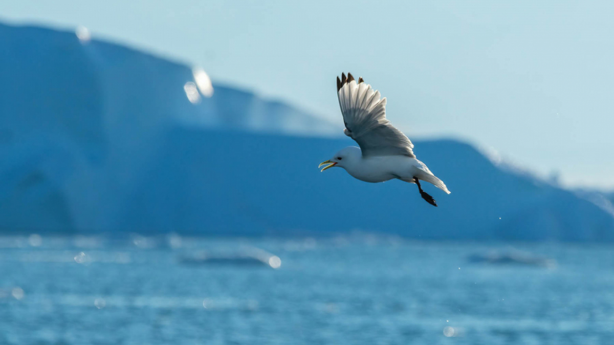 Фото: Milan Chudoba, unsplash.com