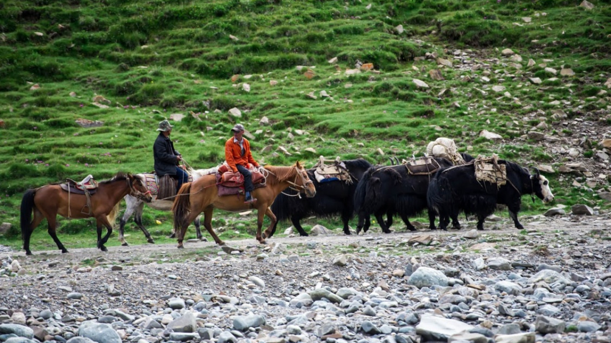 Фото нашего гида Дмитрия Эскина
