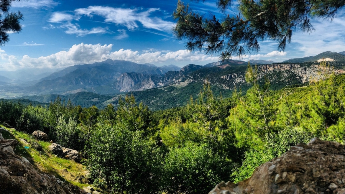 Фото: Olga Subach, unsplash.com