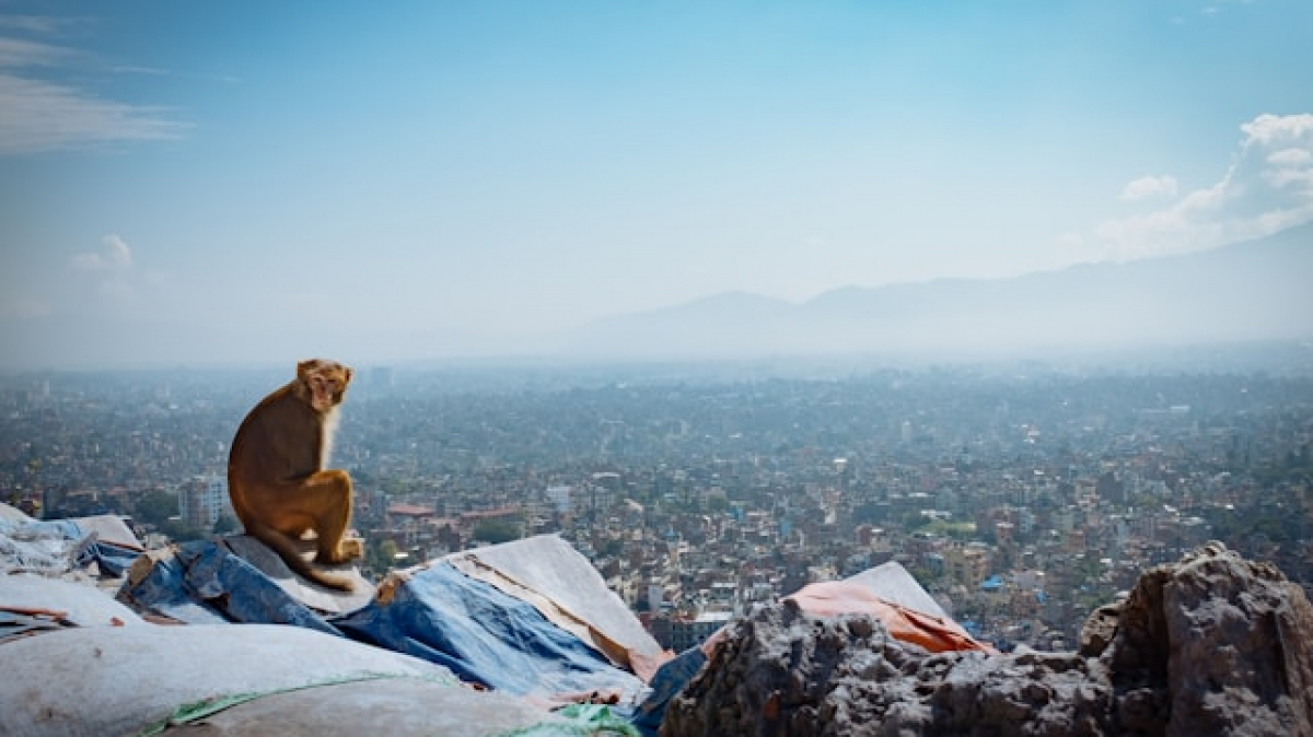 Фото: Ben Pauer, unsplash.com