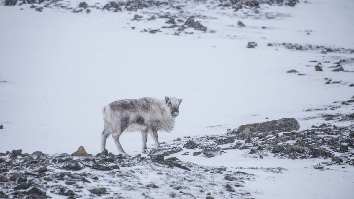 Фото: James Padolsey, unsplash.com