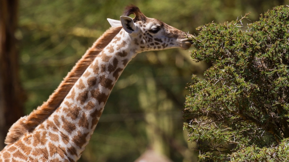 Фото: blieusong, visualhunt.com