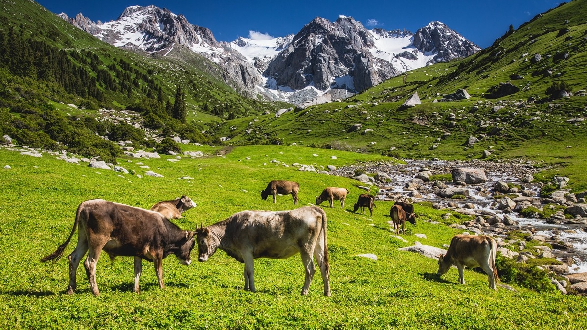 Фото: Михаил Самарин