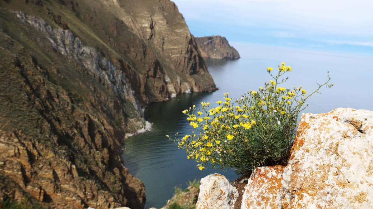 Фото нашего Странника Антона Дули