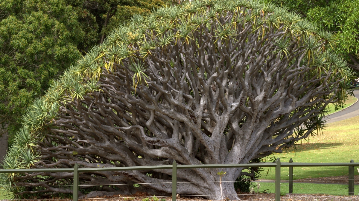 Фото: jimbowen0306, visualhunt.com