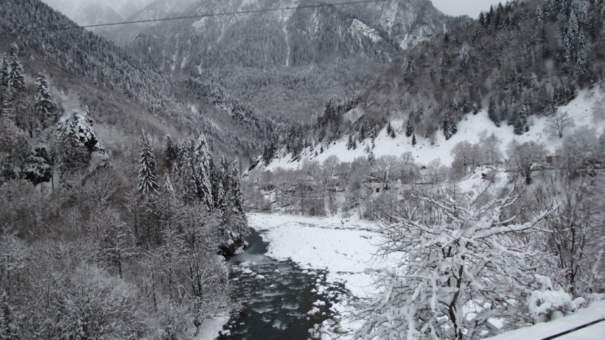 Фото нашего гида Ирины Пряничниковой