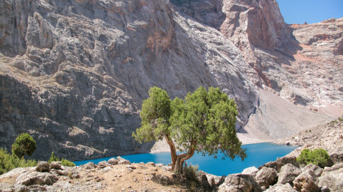 Фото из архива