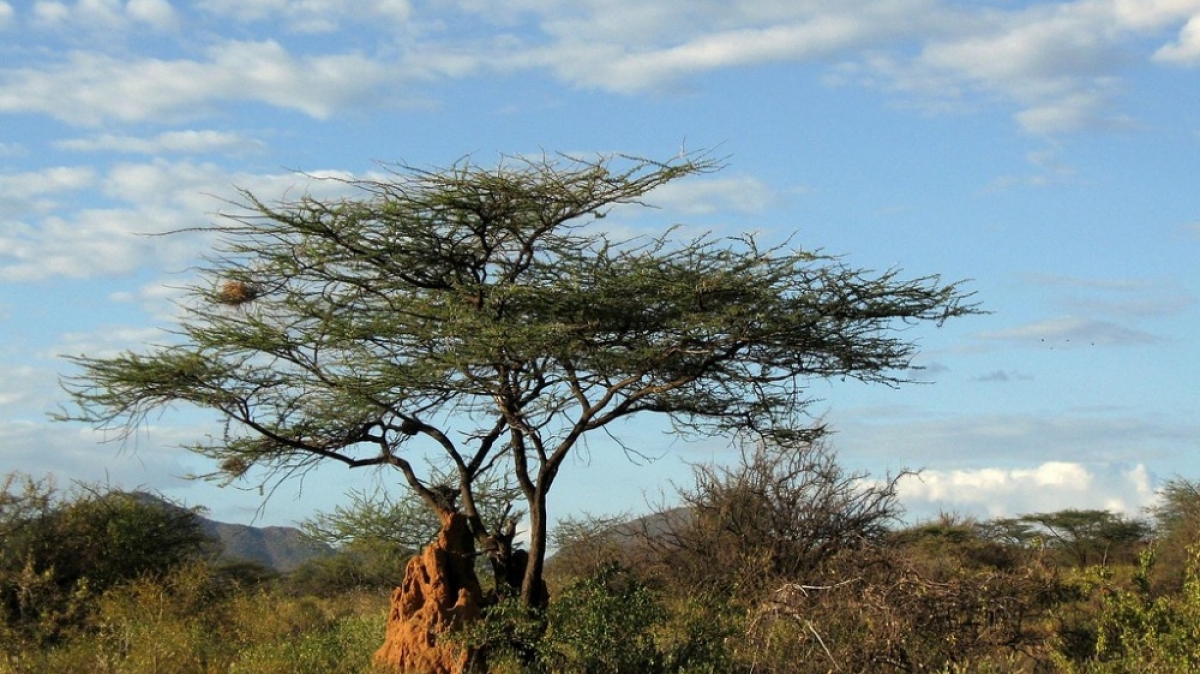 Фото: Ai@ce, visualhunt.com