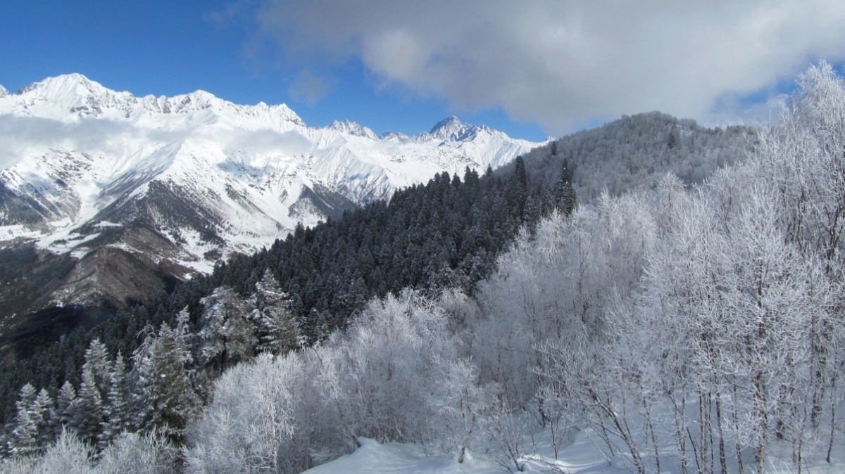 Фото нашего гида Ирины Пряничниковой