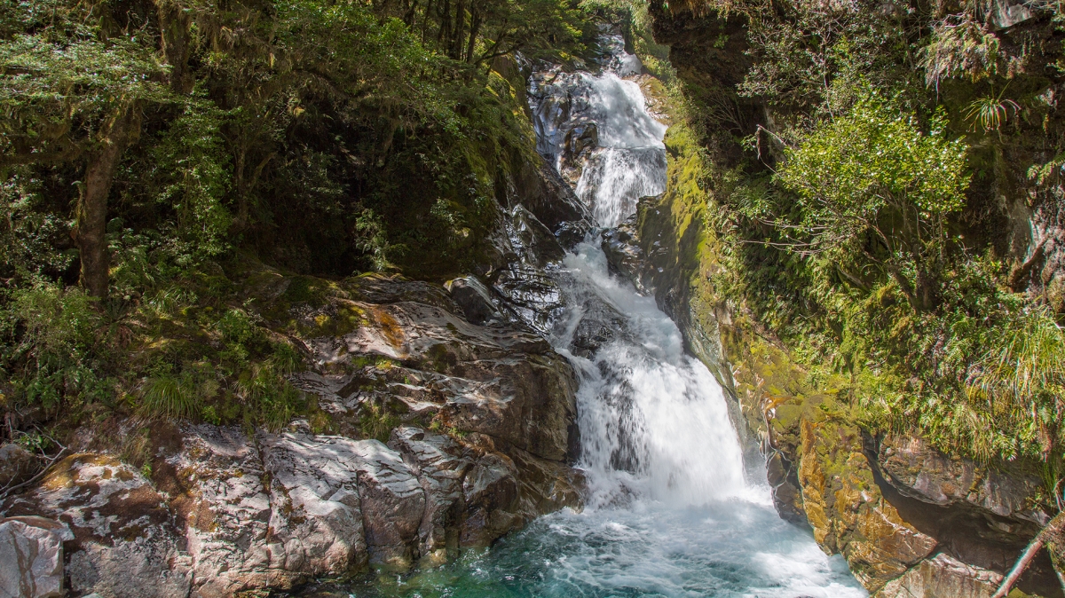 Фото нашей Странницы Татьяны Руновой
