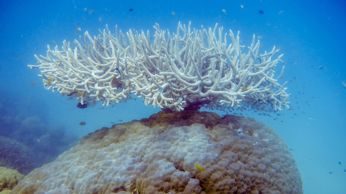 Фото: r.mcminds. Источник: visualhunt.com