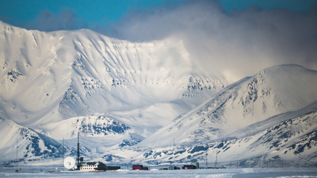 Фото: Сергей Доля