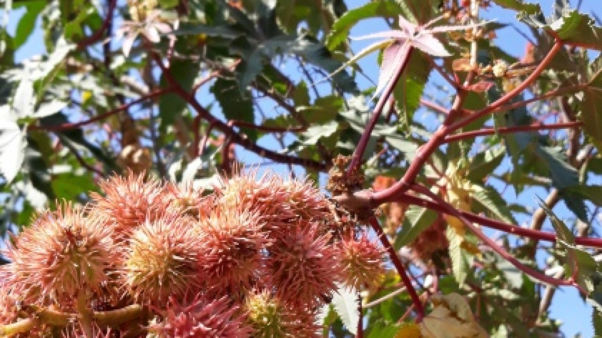 Фото нашего гида Марины Чудновской