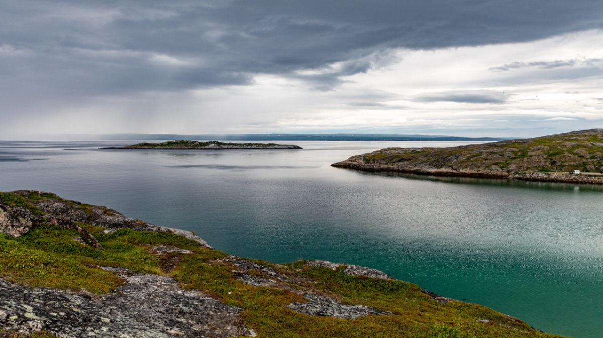 Фото: Ninara, visualhunt.com