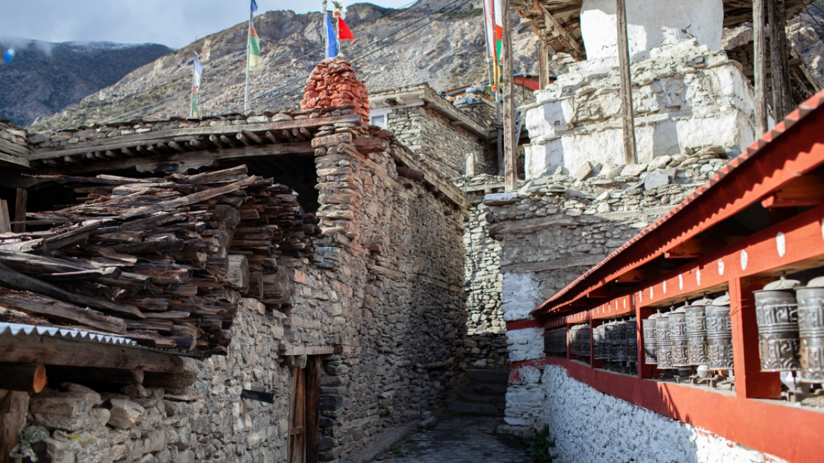 Фото Дмитрия Бирюкова