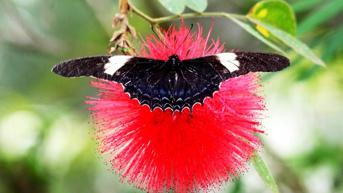 Источник фото: dany13 on Visual hunt