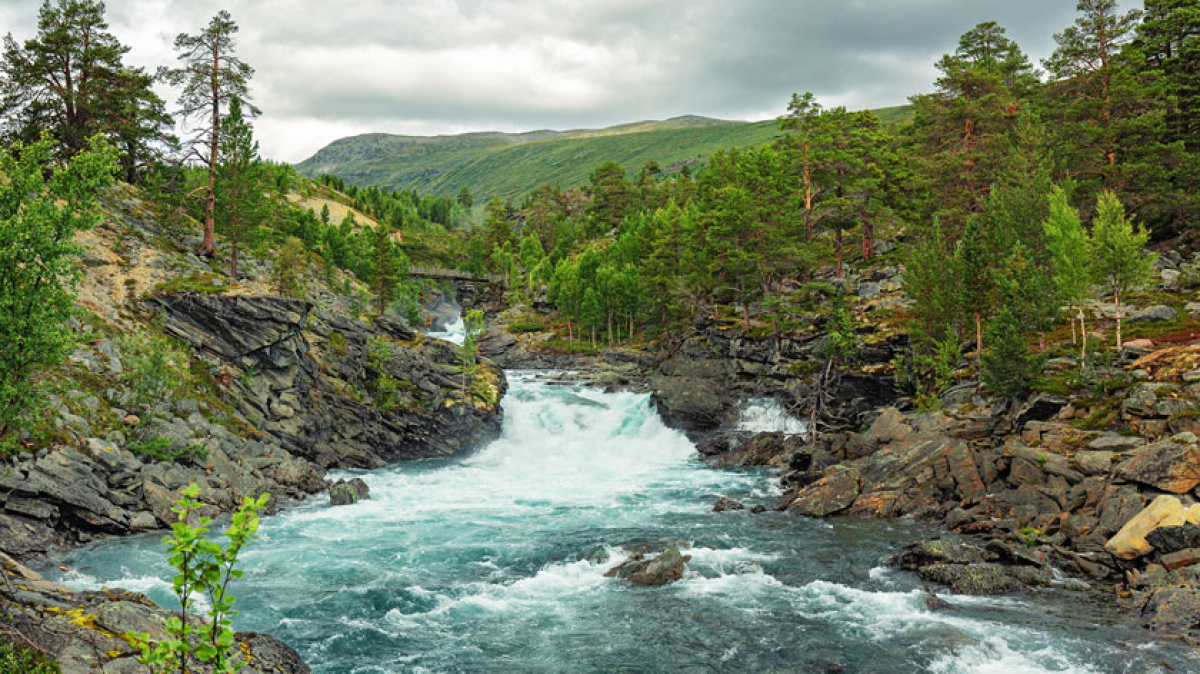 Фото нашего Странника Сергея Набиркина
