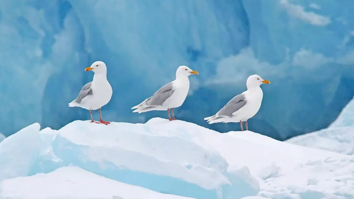 Фото наших партнёров