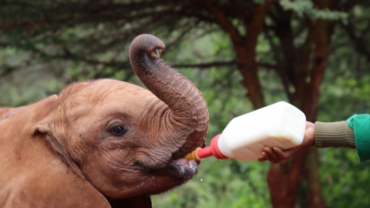 Фото: Dennis Groom, unsplash.com