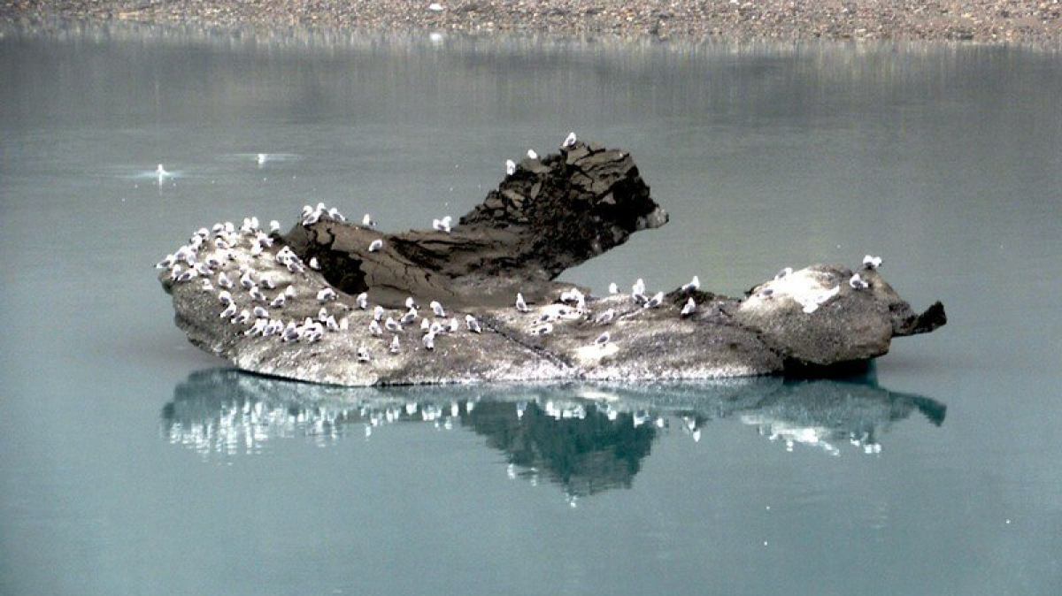 Фото: D-Stanley, visualHunt.com