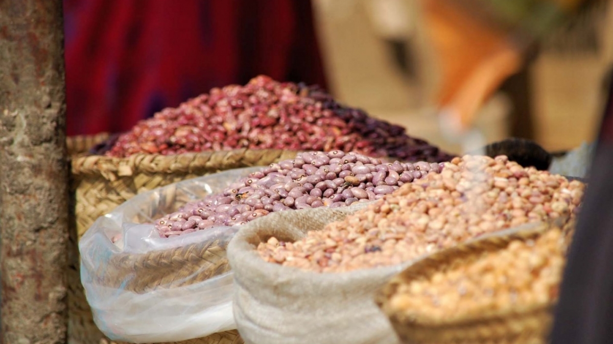 Фото: Mathias Katz, unsplash.com