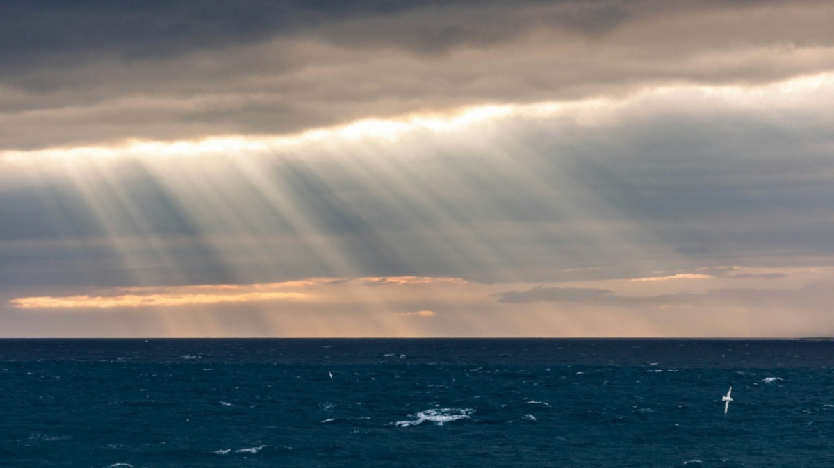 Фото: Michael Held on unsplash