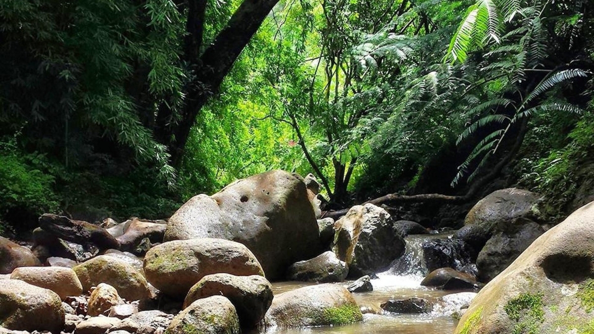 Автор: skeeze. Источник: pixabay.com