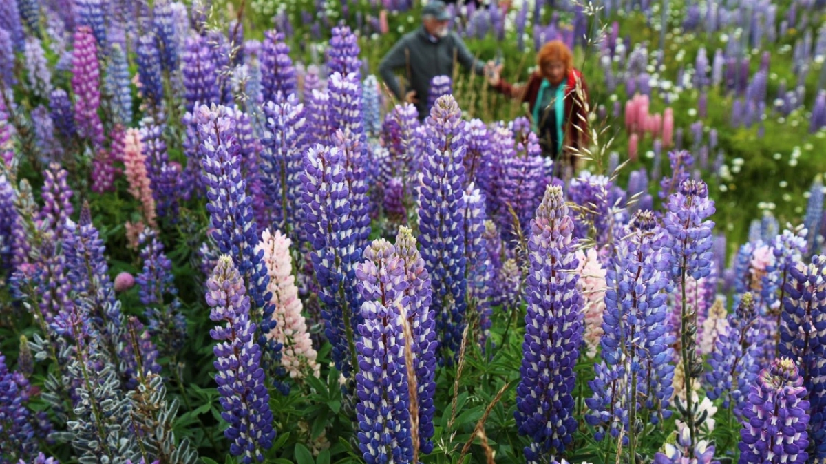 Фото нашей Странницы Юлии Цветковой