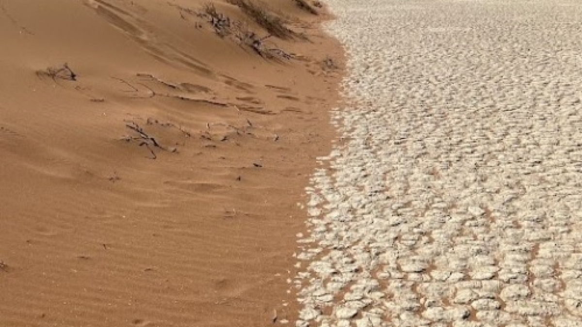 Фото: наш гид Алексей Шорец
