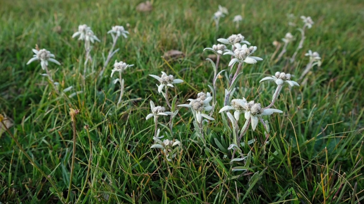 Фото нашей Странницы Марины Шумаковой