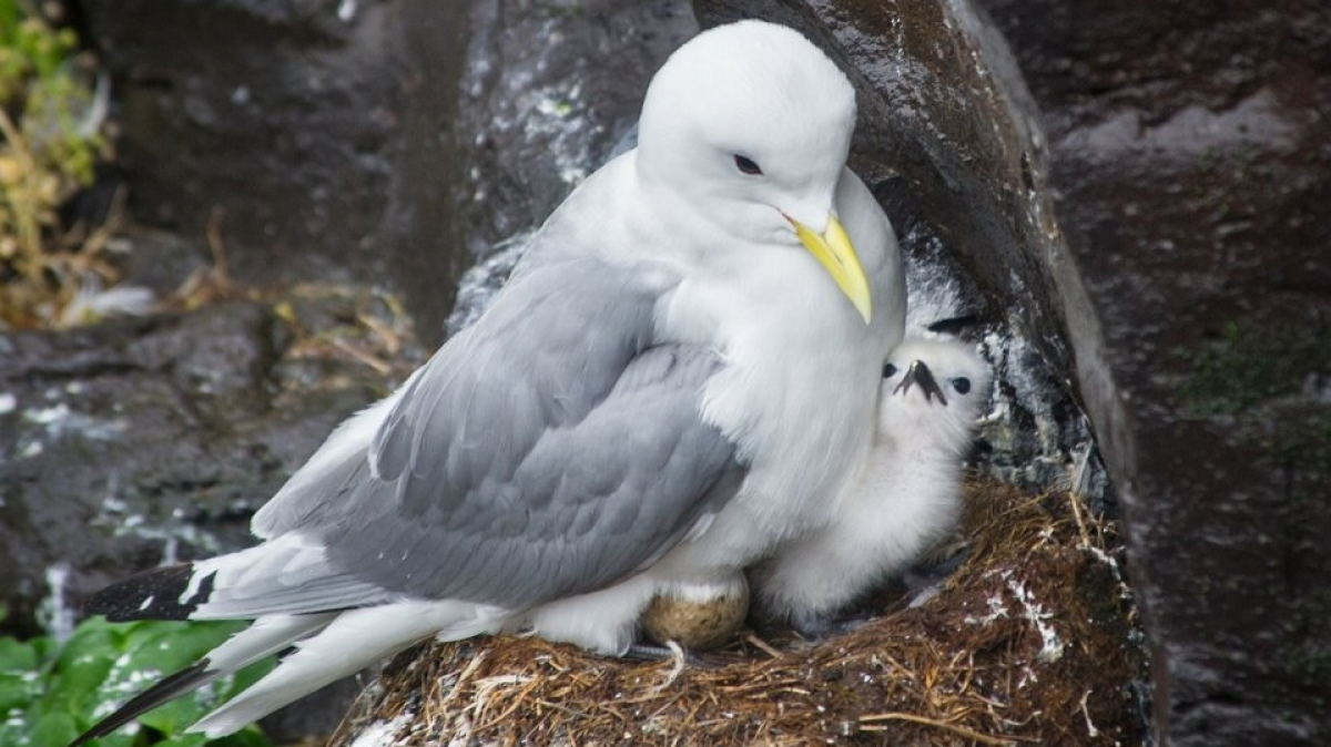 Фото из архива Клуба