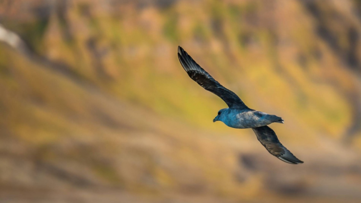 Фото из архива клуба