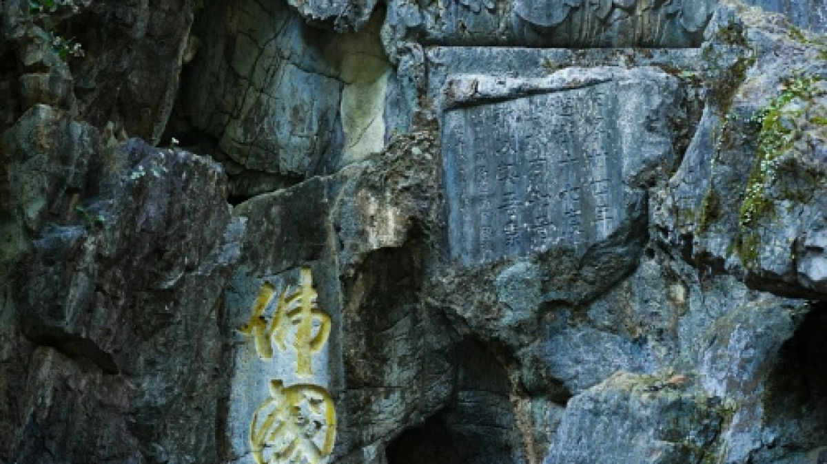 Фото: un liu, unsplash.com