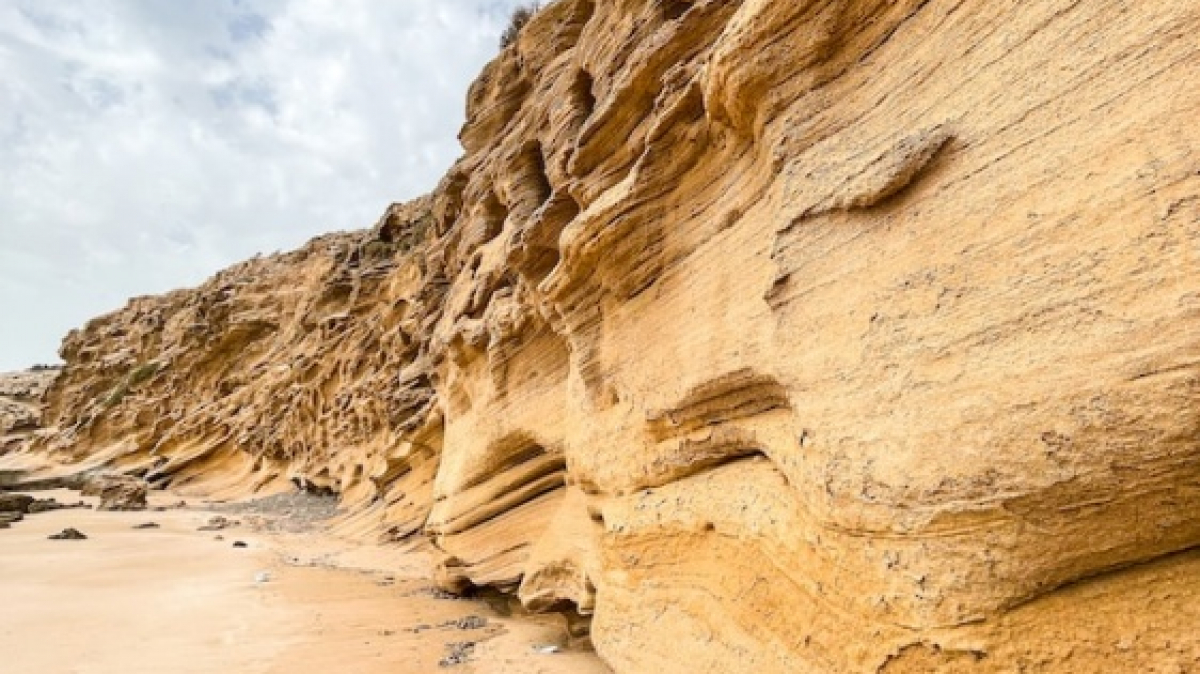 Фото: Anastasiia Malai, unsplash.com