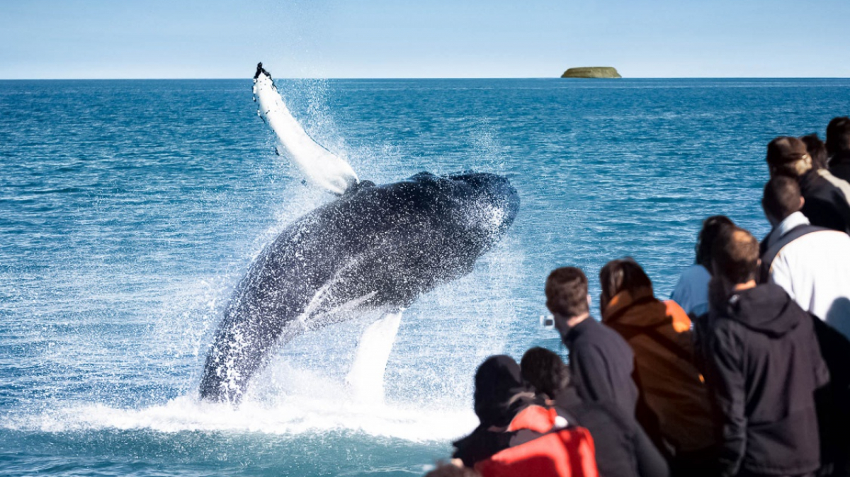 Фото из архива Клуба