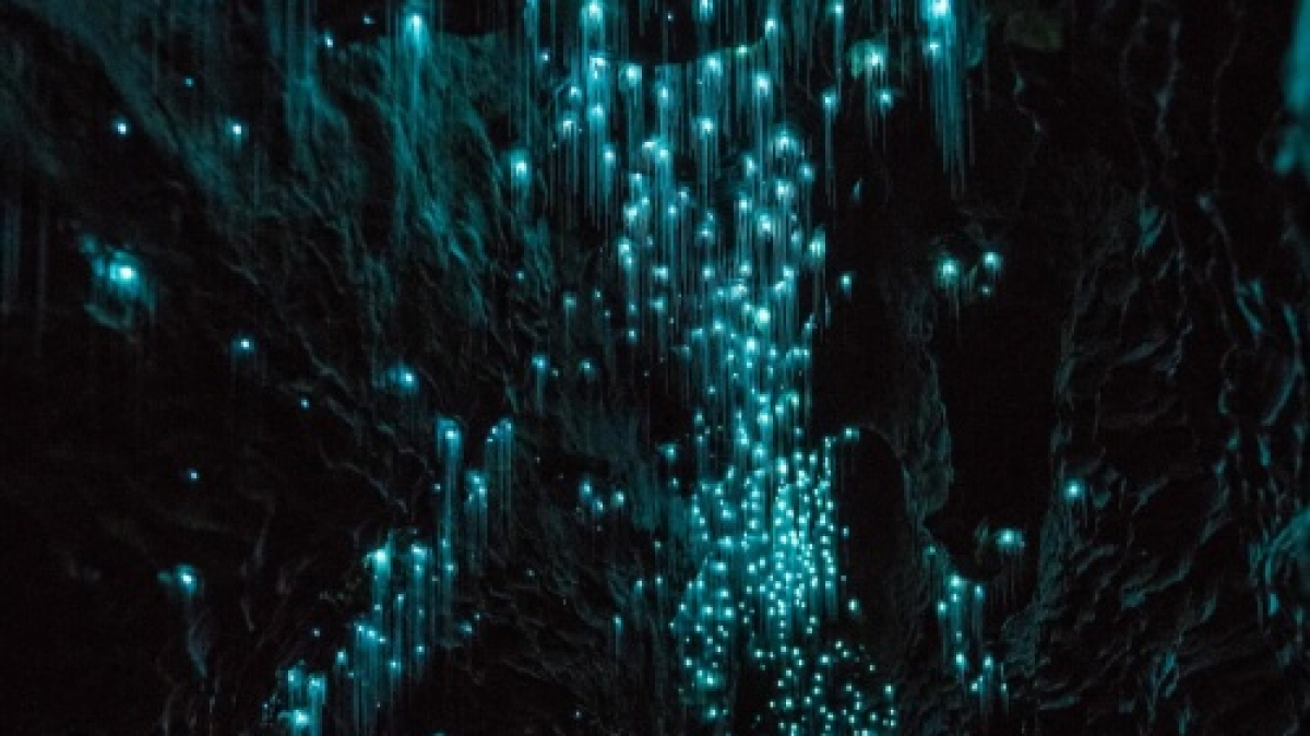 Фото из архива Клуба