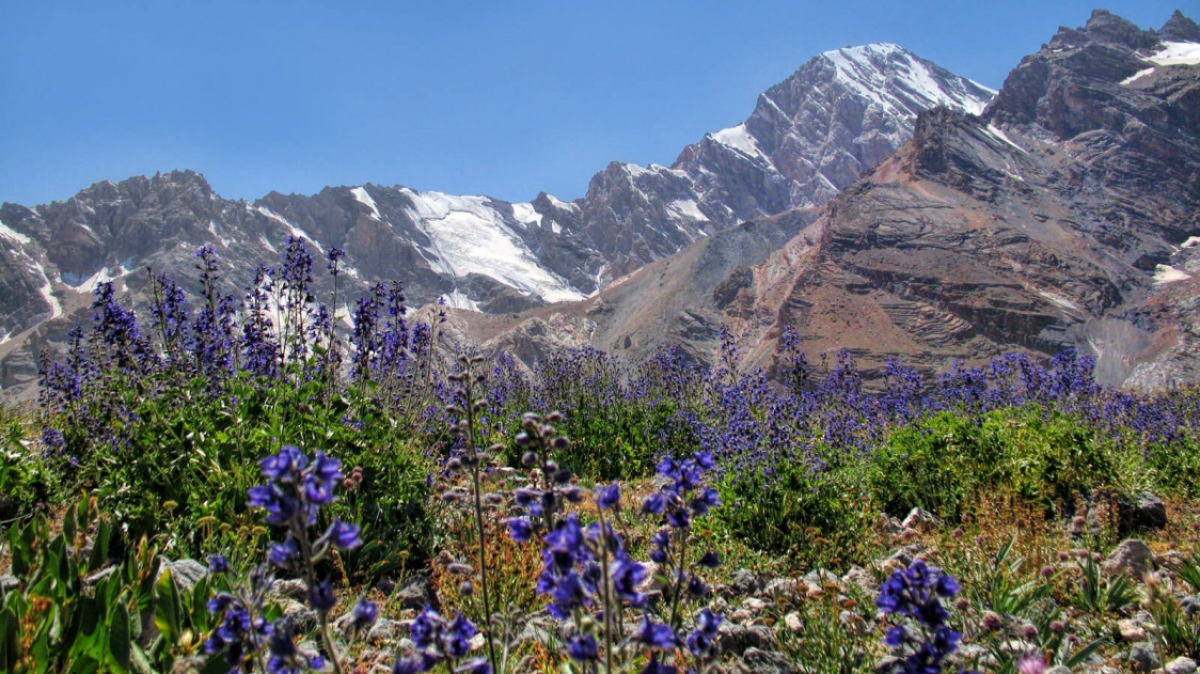 Фото из архива