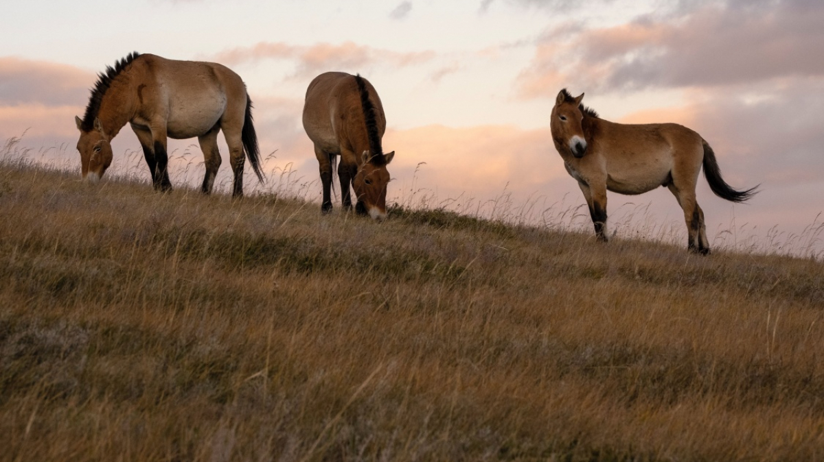 Фото: Lightscape, unsplash.com